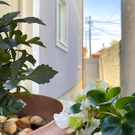 아파트 Northgate Apart-villa Shkodër