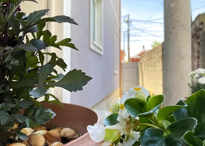 Apartmán Northgate Apart-villa Shkodër