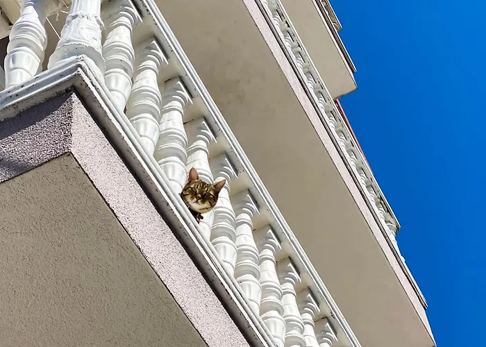 Northgate Apart-villa Shkodër