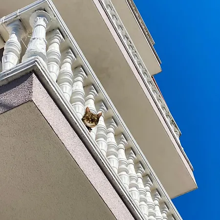Northgate Apart-villa Shkoder